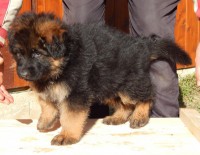 /album/a6-weeks/stence-d-6-weeks-047-jpg/